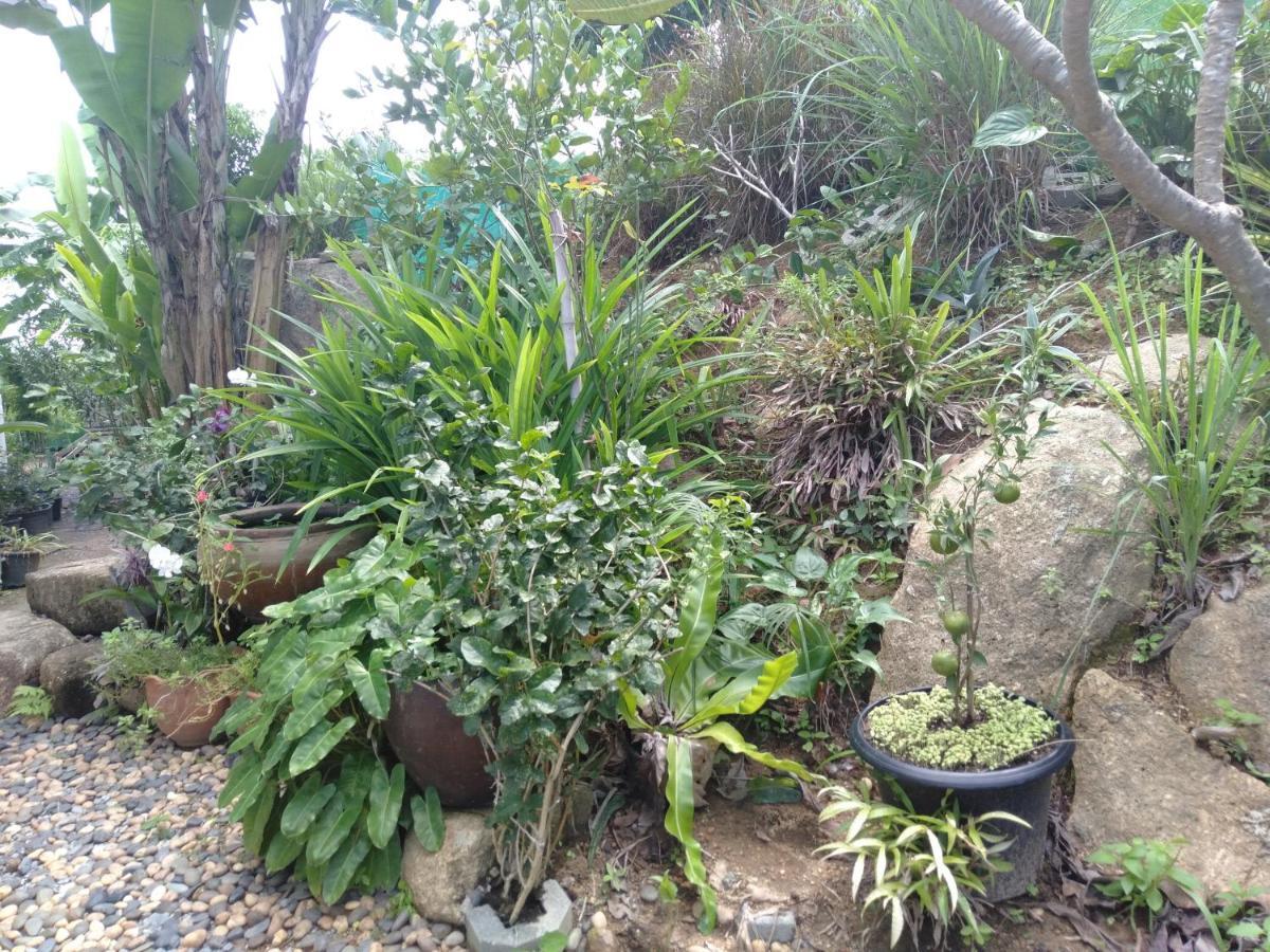 Perfect Sea View Mountain Villa Koh Samui Chaweng  Bagian luar foto